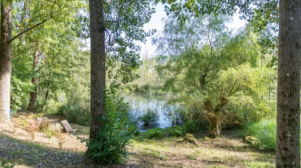 1770285772-21) wilde tuin (20)
